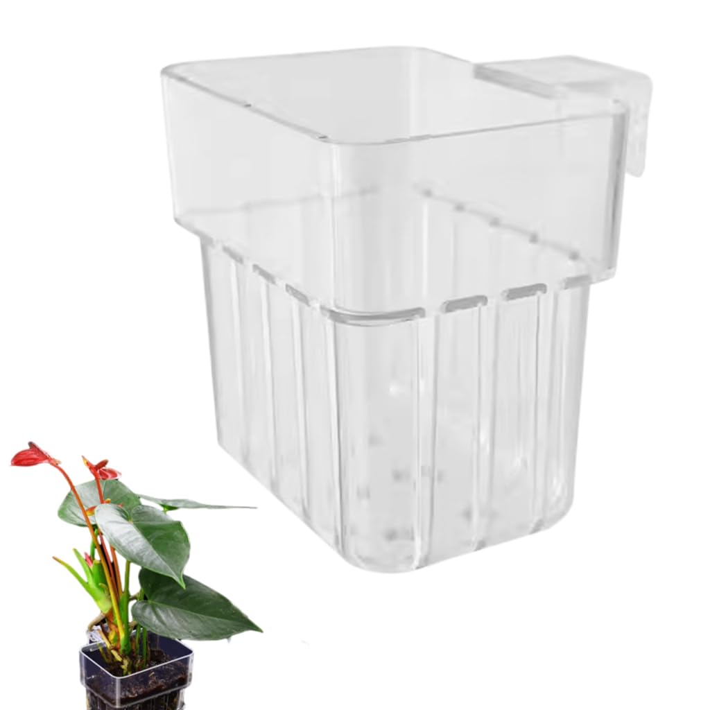 Qpets Wall-Mounted Aquarium Plant Holder, Aquarium Stand Plant Holder Cup Pot, Acrylic Plant Basket for Glass Aquarium Fish Tank with Screw Fixed & Draining Holes (8 * 8 * 5.7CM) Qpets Wall-Mounted Aquarium Plant Holder, Aquarium Stand Plant Holder Cup Pot, Acrylic Plant Basket for Glass Aquarium Fish Tank with Screw Fixed & Draining Holes (8 * 8 * 5.7CM)